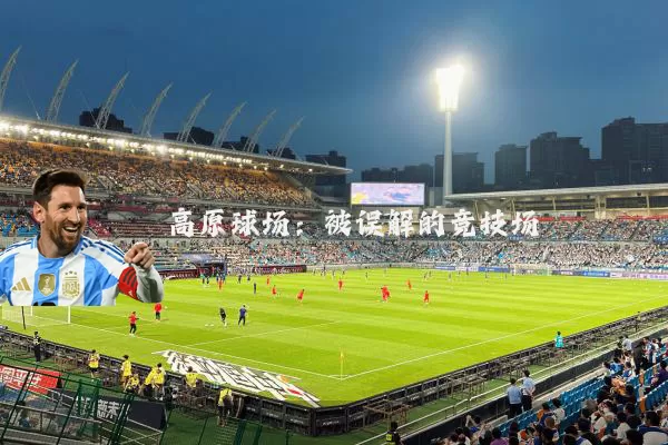 高原球场：被误解的竞技场